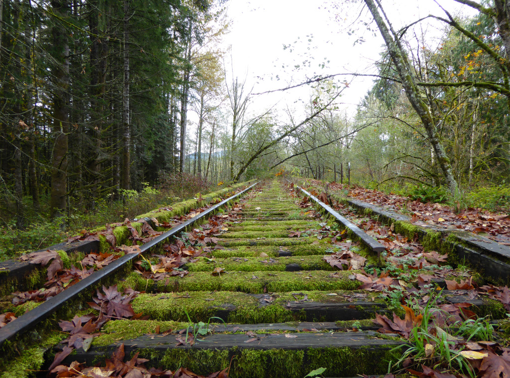 Hiking an old railroad trestle in Snoqualmie